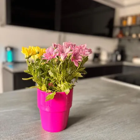 Grosszuegige 2-etagen-wohnung - Garten& Natur&see * 볼렌